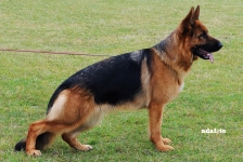 Kalia di Casa Massarelli